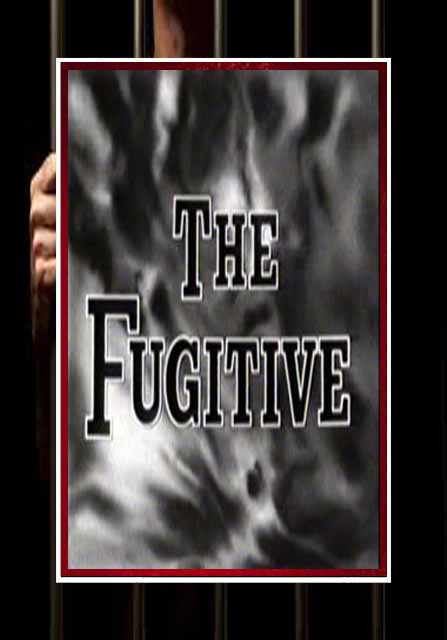 (image for) The Fugitive - Complete Series (Remastered)