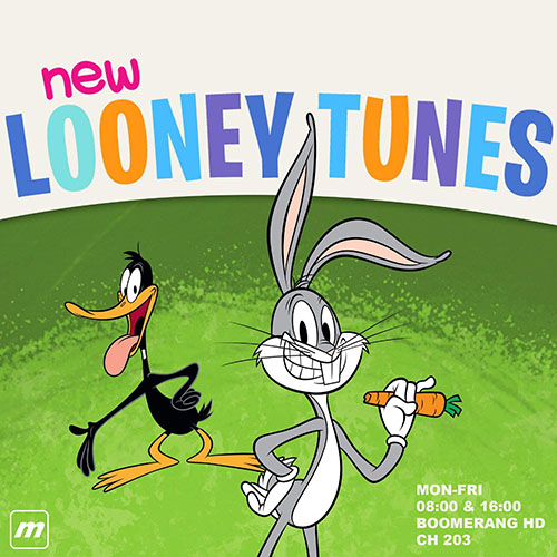 (image for) New Looney Tunes - Season 3