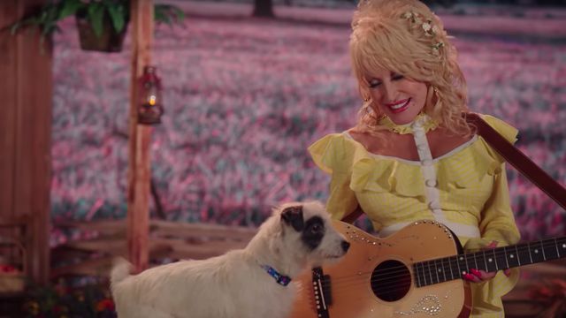 (image for) Dolly Parton's Heartstrings