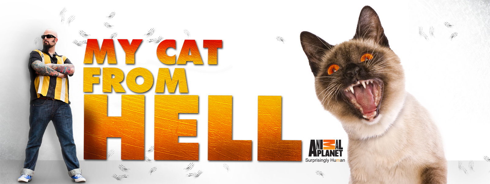 (image for) My Cat From Hell - Seasons 1-5 - Click Image to Close