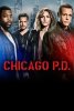 (image for) Chicago P.D. - Seasons 3 and 4