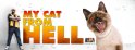 (image for) My Cat From Hell - Seasons 1-5