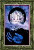 (image for) The Outer Limits - Complete Series