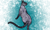 A generic image