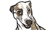 A generic image