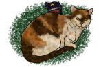 A generic image