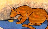 A generic image