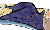 A generic image