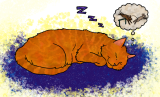 A generic image
