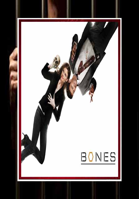 Bones - Seasons 1-12