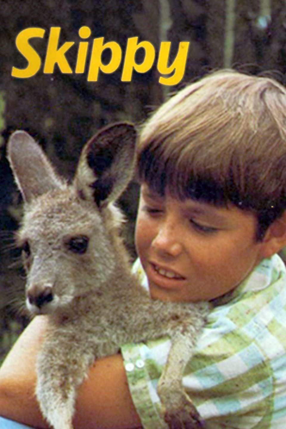 (image for) Skippy the Bush Kangaroo - Complete Series