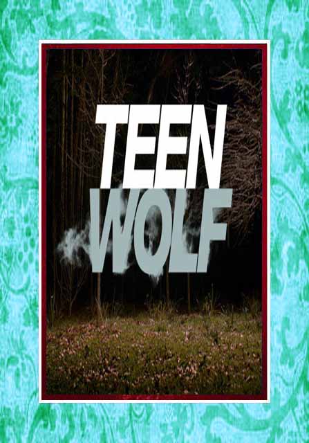 (image for) Teen Wolf - Season 6