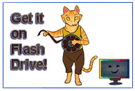 Flash Drive